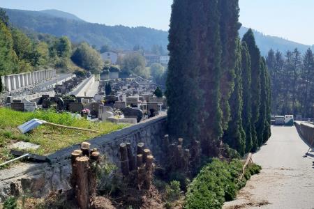 Pokopališče ciprese